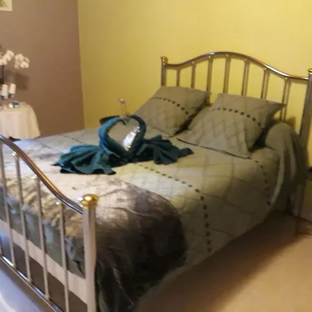 L Orchidee Guest house *